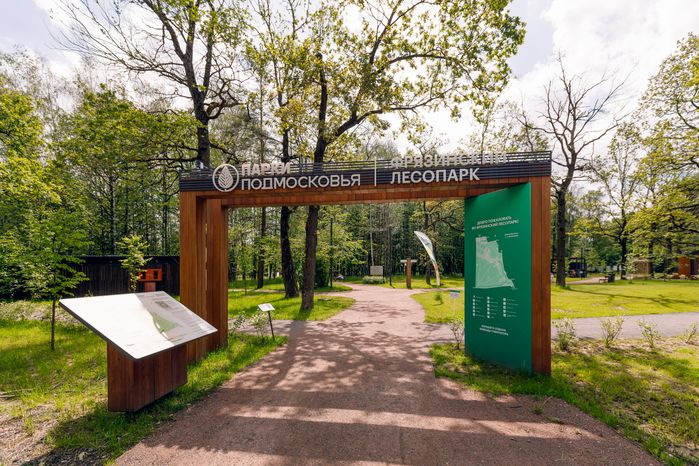 Фрязинский лесопарк летом