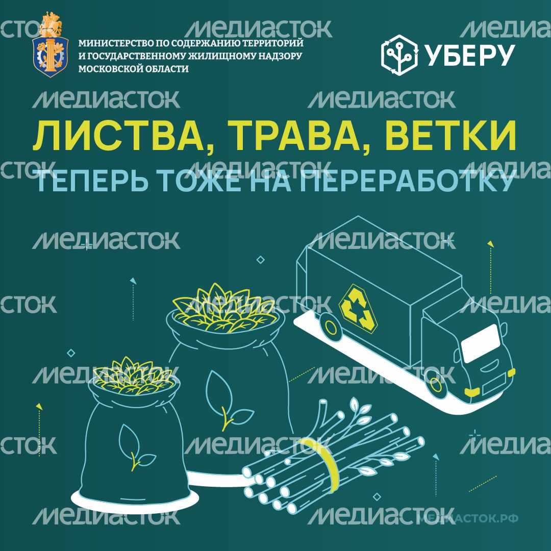 Обложка листва, трава, ветки квадрат 01