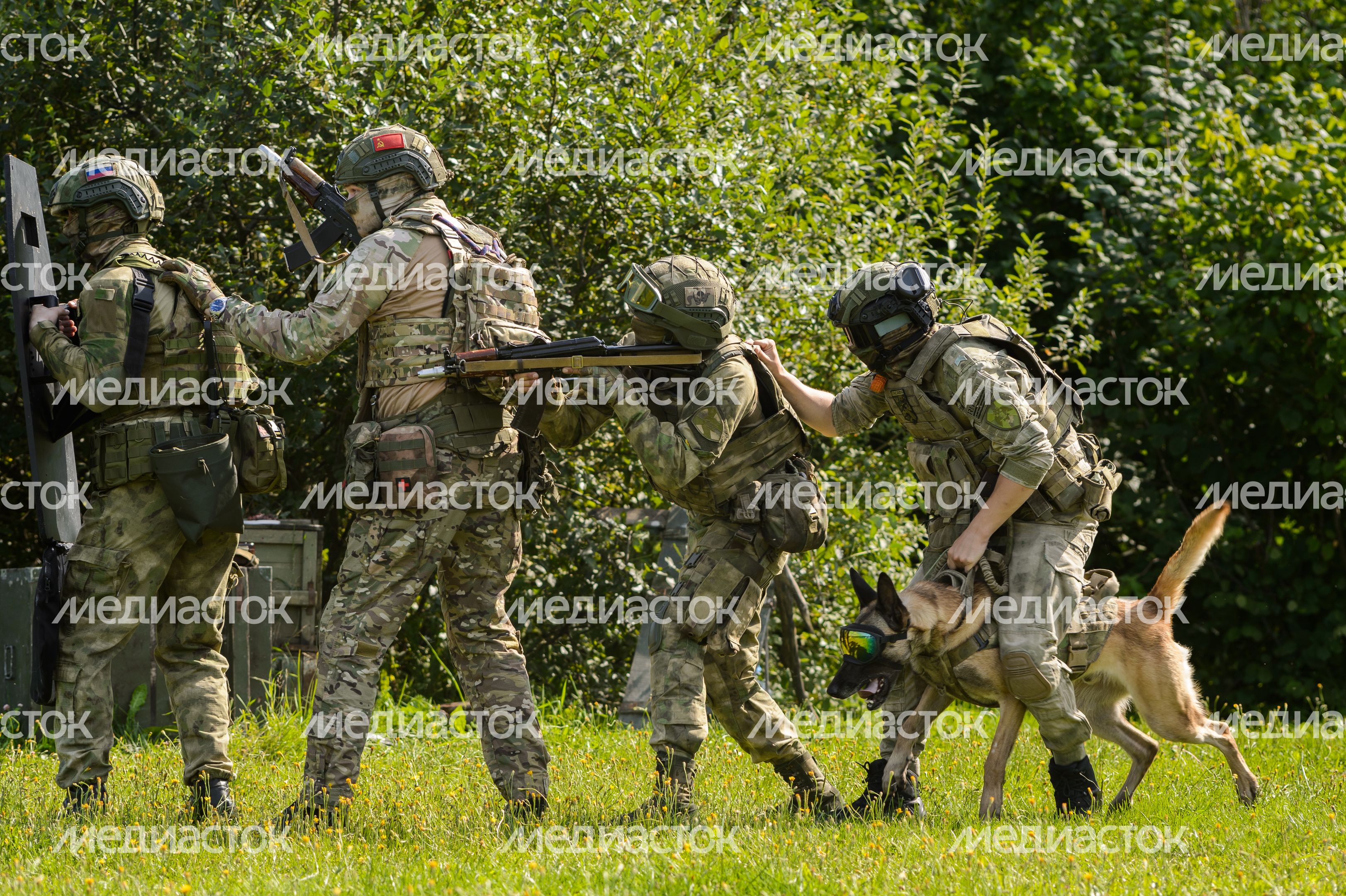 Мытищи. Шолохово. Военно-патриотический фестиваль Фронтовая собака