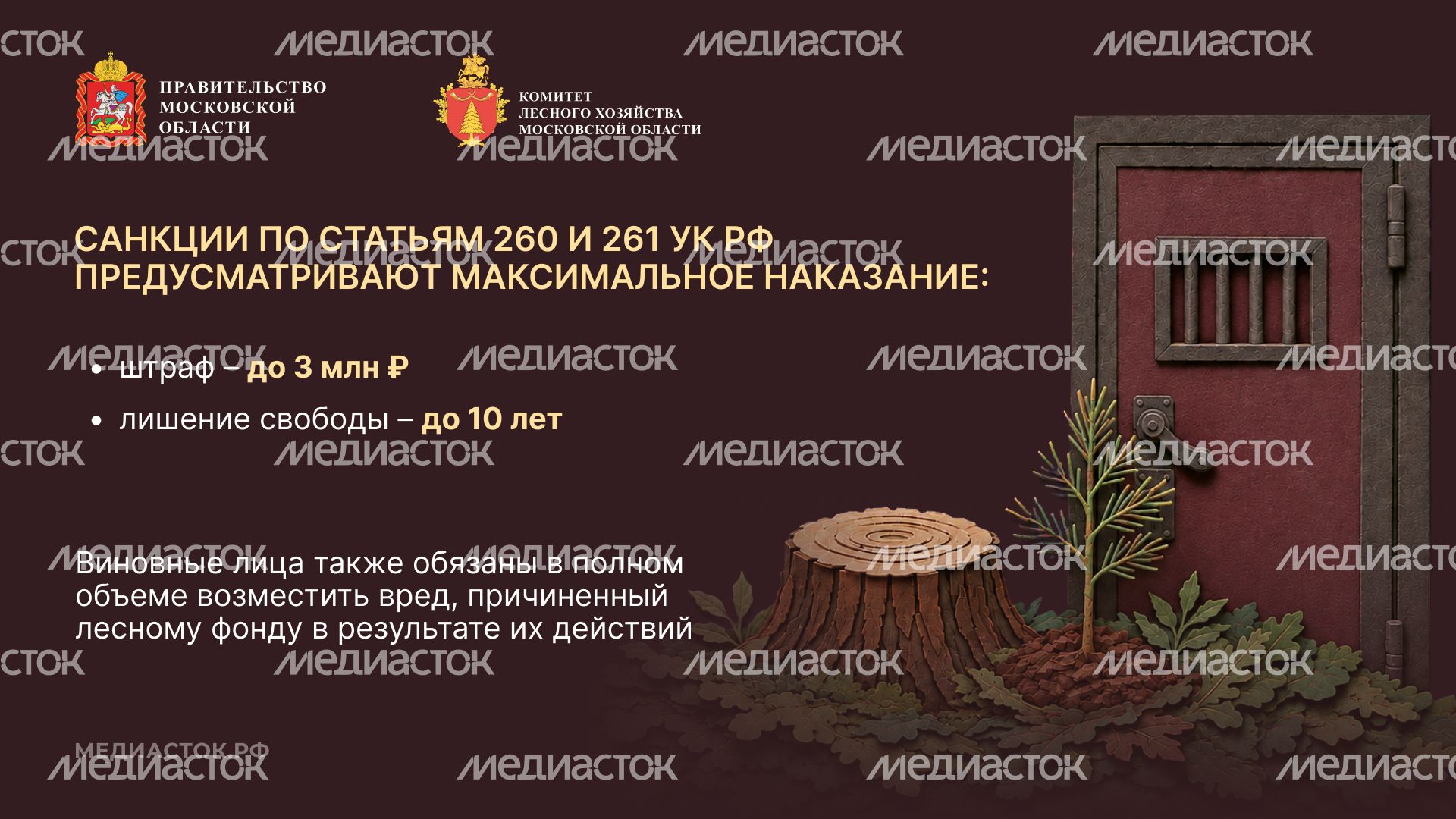 Самовольный захват и использование лесных участков горизонталь 07