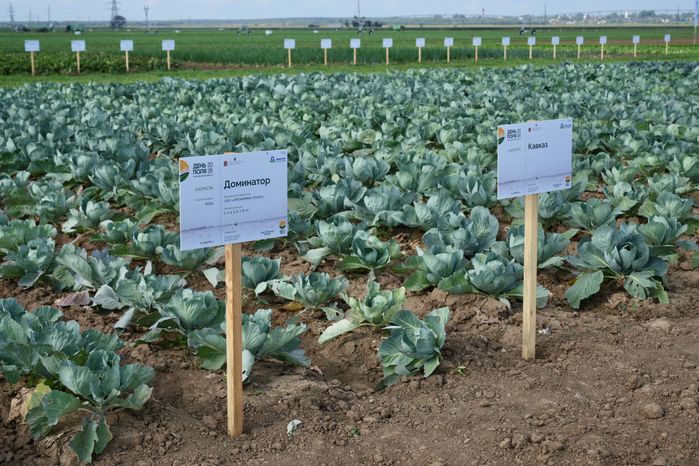 Агропромышленная выставка "День поля Московской области" в Дмитровском округе