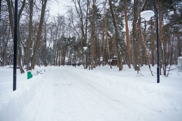 Богородский. Ногинск. Глуховский парк. Зима