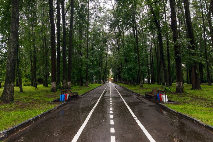 Велодорожка в городском парке культуры и отдыха Солнечногорска