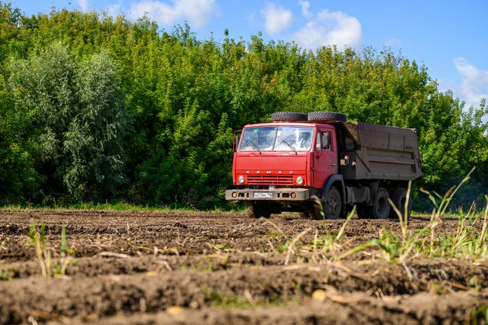 Уборка урожая картофеля в округе Коломна