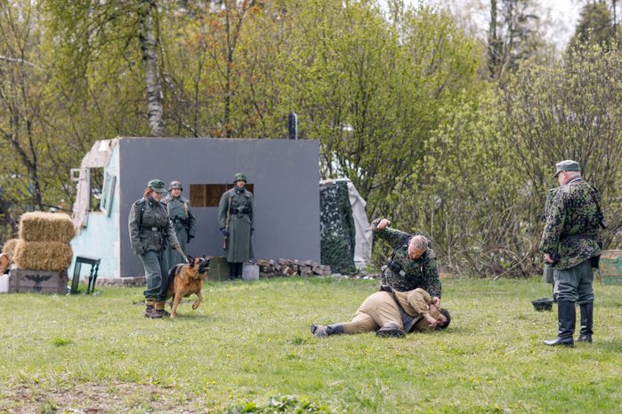 Военно-историческая реконструкция "Третий удар. Освобождение Крыма"