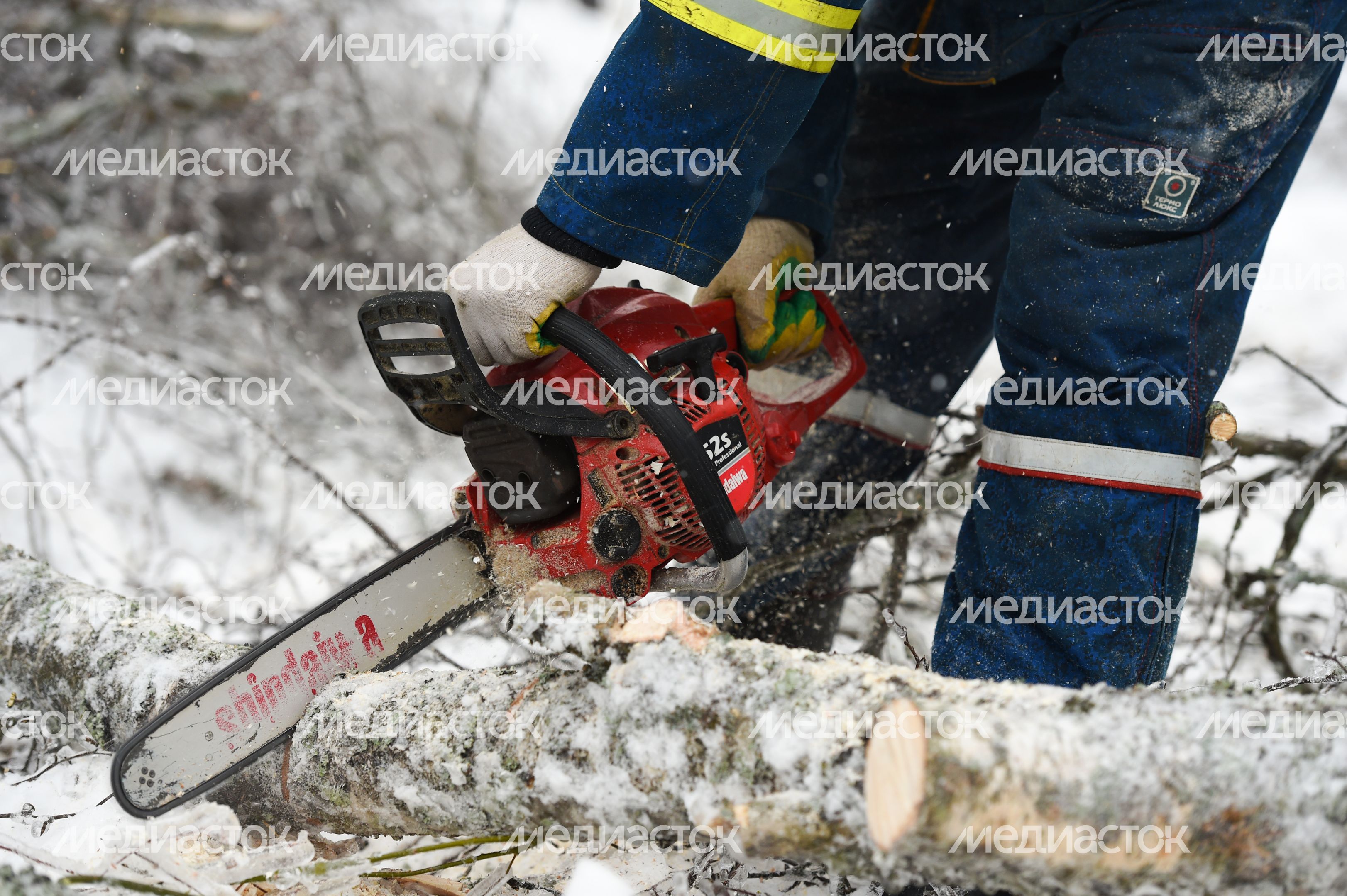 Последствия ледяного дождя в Подмосковье Последствия ледяного дождя в Подмосковье
