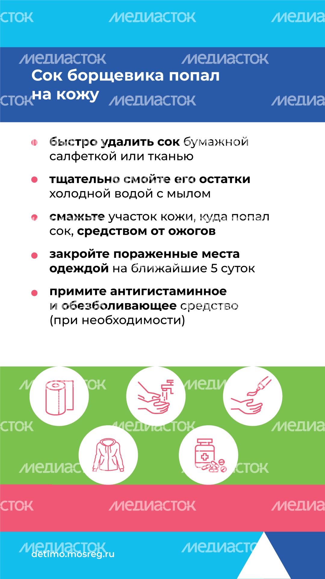 Вертикаль_Борщевик Сосновского_06.png