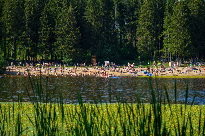 Пляж в лесопарке «Загорское море» летом в Сергиевом Посаде