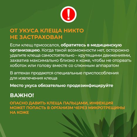 комлесхоз_клещи_кв_7