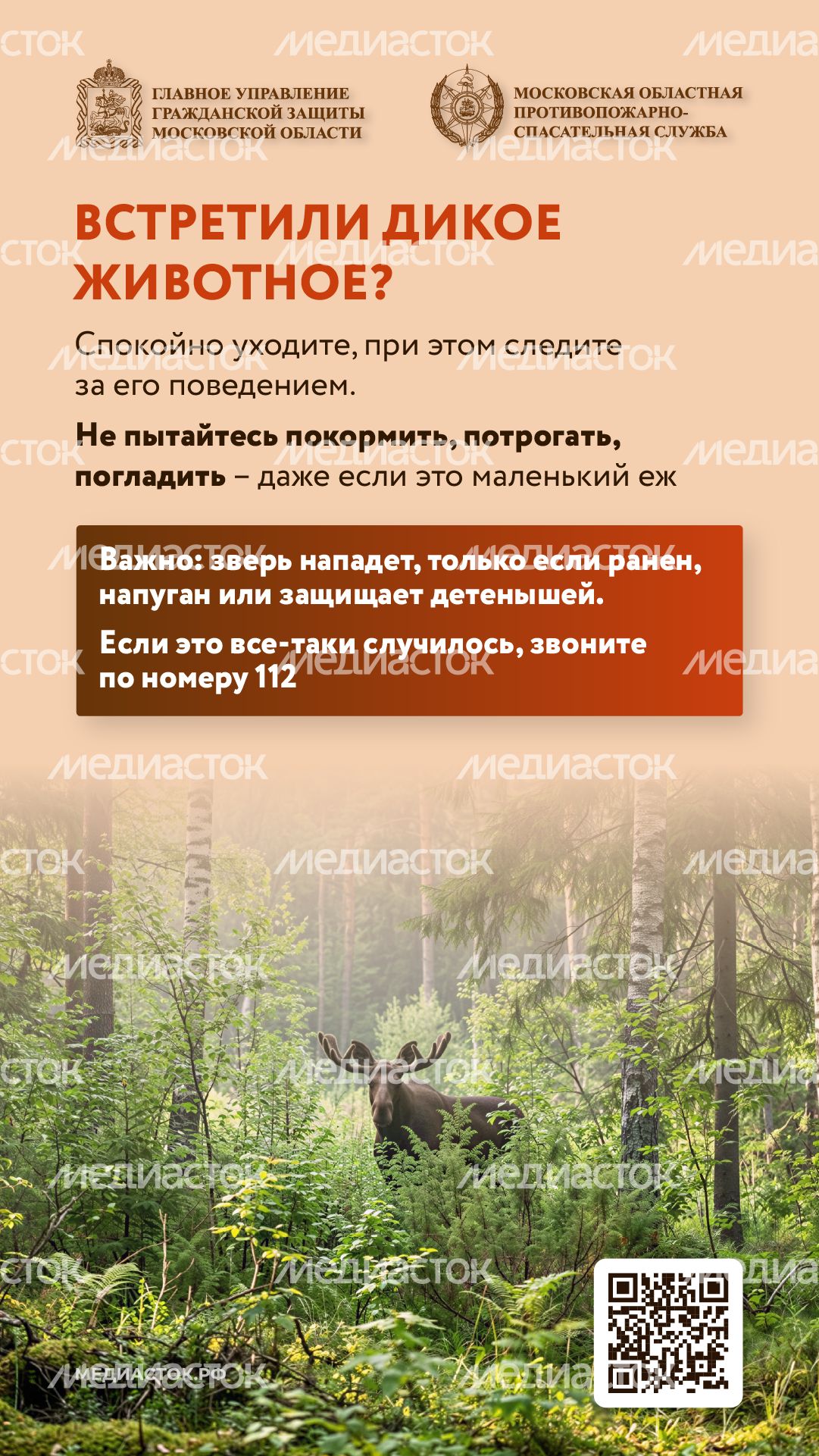 Что делать при встрече с диким животным вертикаль 03 Что делать при встрече с диким животным вертикаль 03
