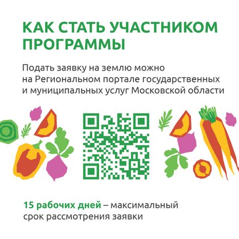  Подмосковные 10 гектаров