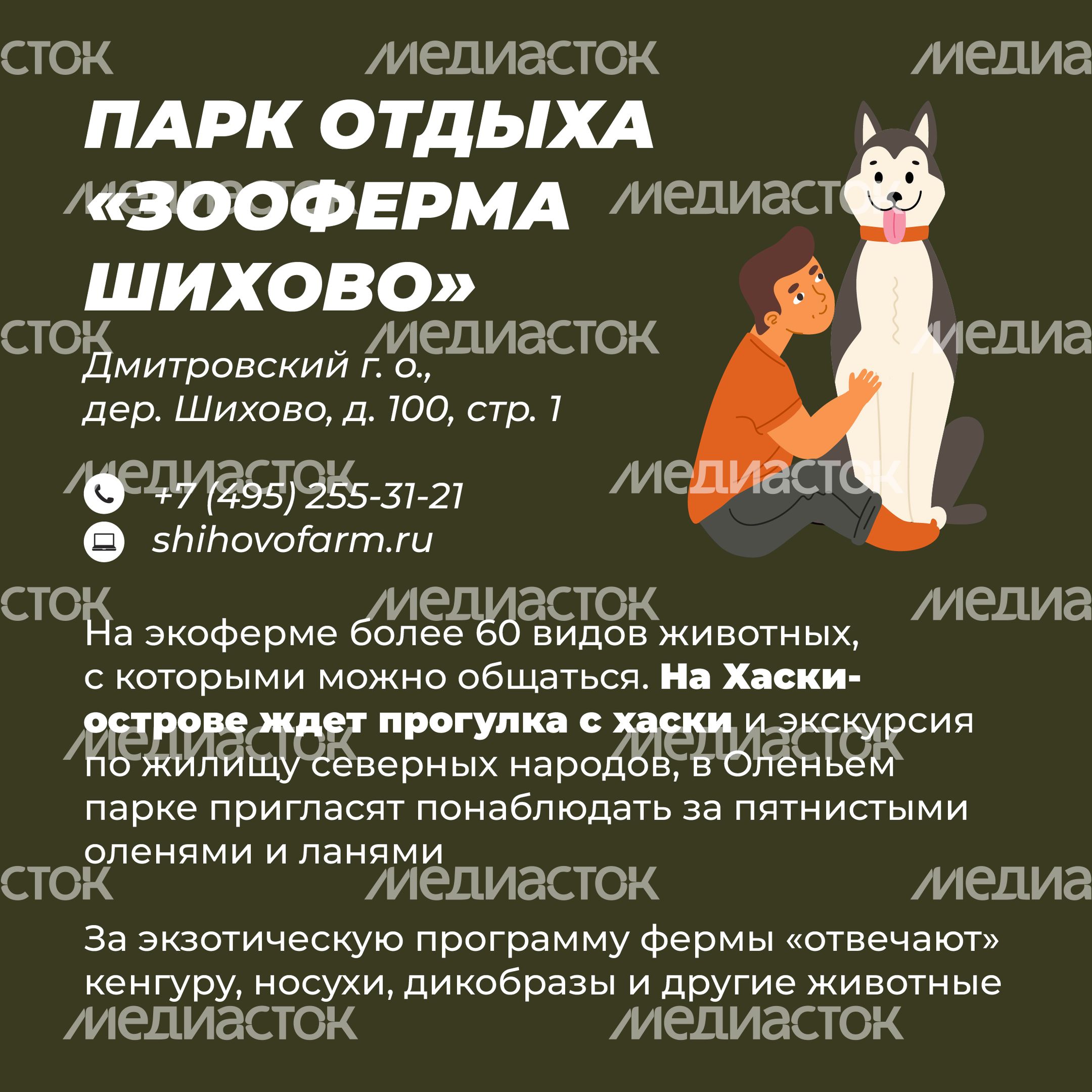 Фермы с животными-33.jpg