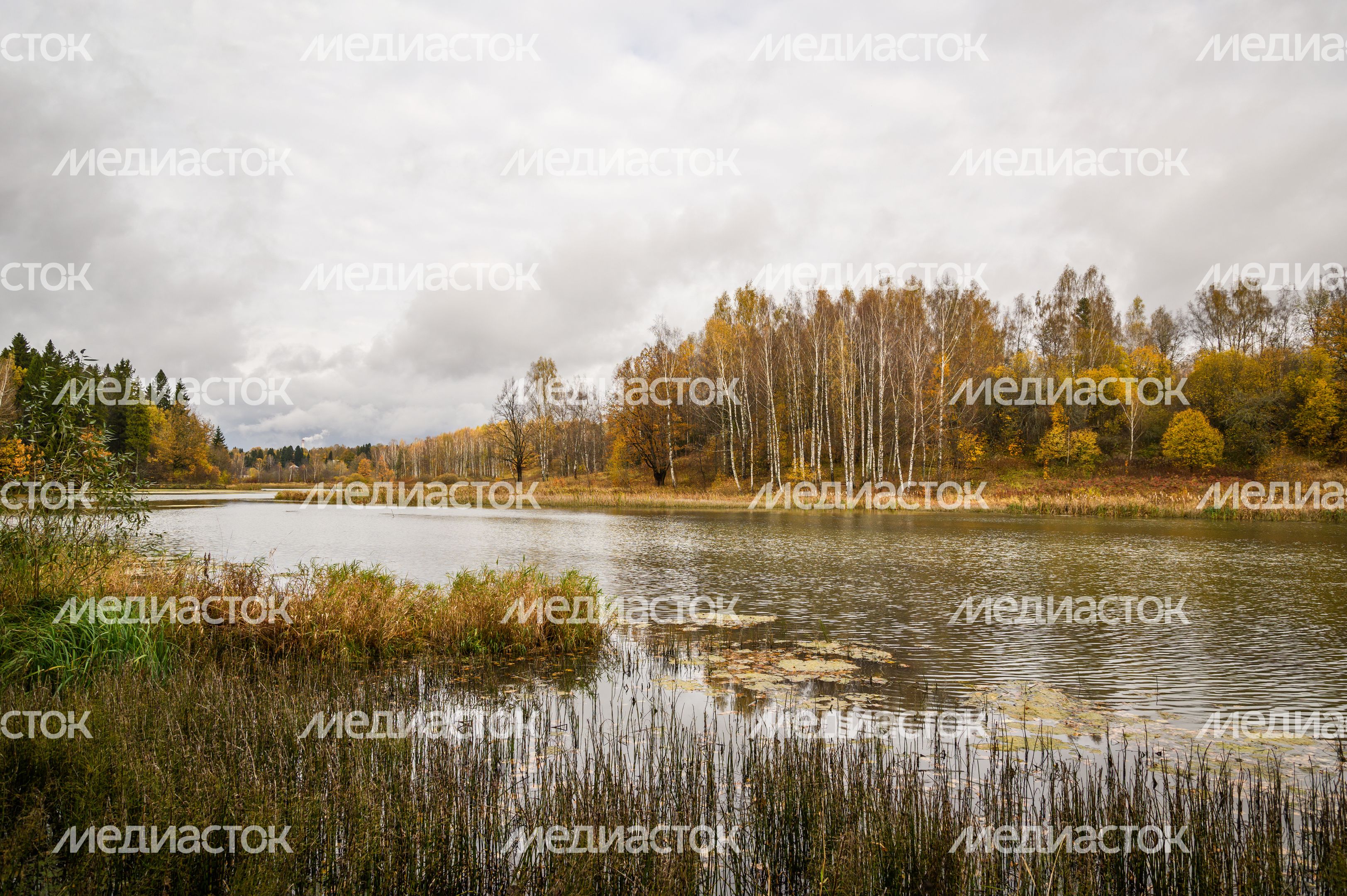 Осень в Абрамцево Осень в Абрамцево