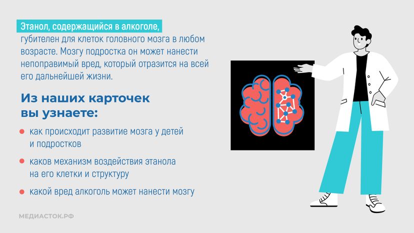Алкоголь и развитие мозга горизонталь 02