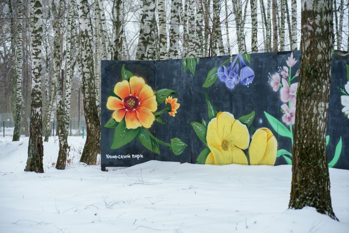 Кашира. Городской парк. Зима