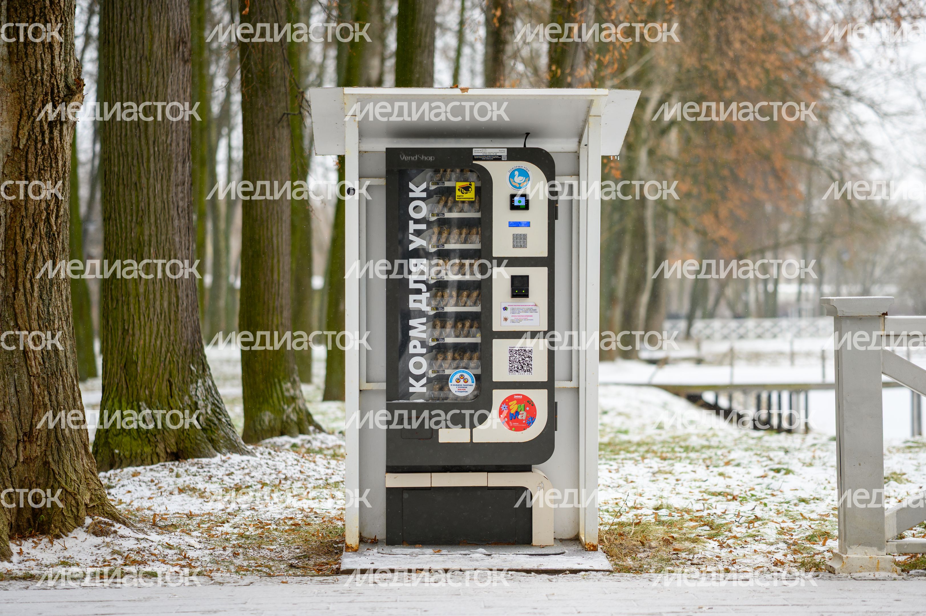 Автомат по продаже корма для уток в парке усадьбы Кривякино в Воскресенске Автомат по продаже корма для уток в парке усадьбы Кривякино в Воскресенске