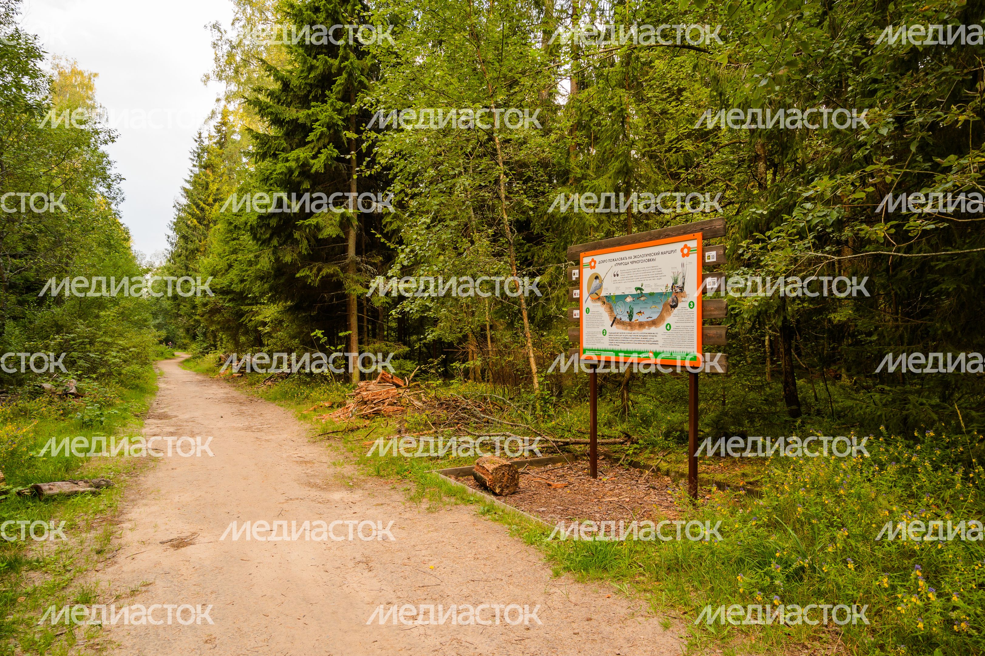 Горокруг Черноголовка. Летние виды реки Черноголовки