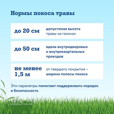 Как ухаживают за газонами квадрат 04
