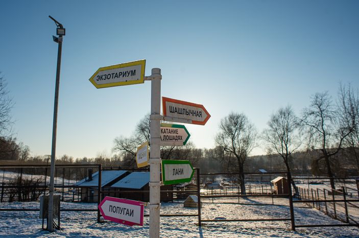 Зимний Парк Птиц «Воробьи»
