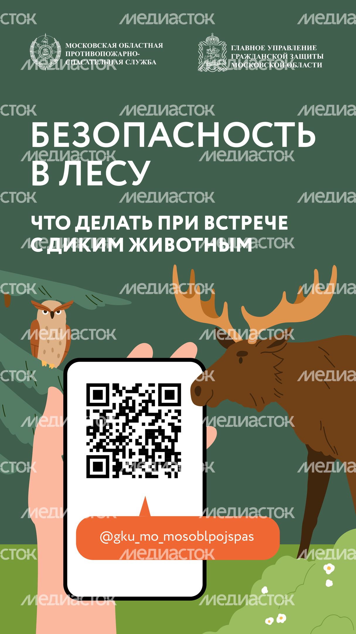 Вертикаль Безопасность в лесу 01.jpg