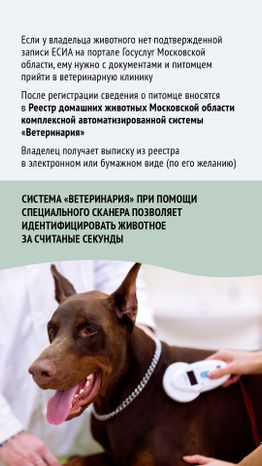 Вертикаль_ зарегистрировать домашнее животное_08-100.jpg