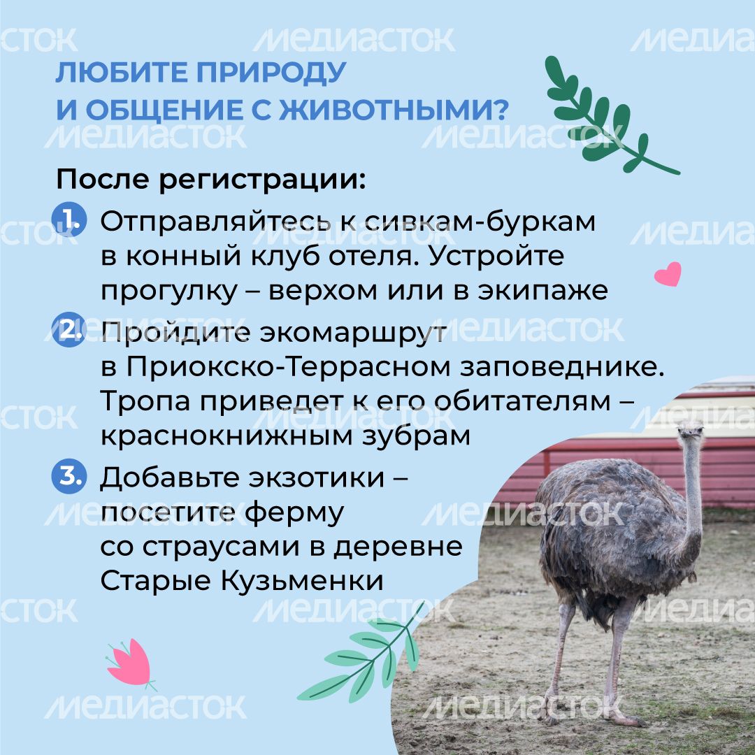 Петрухино-клуб-квадрат-04