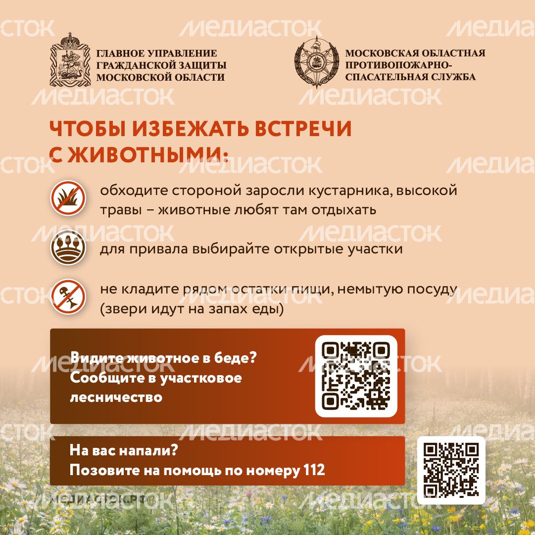 Что делать при встрече с диким животным квадрат 06 Что делать при встрече с диким животным квадрат 06