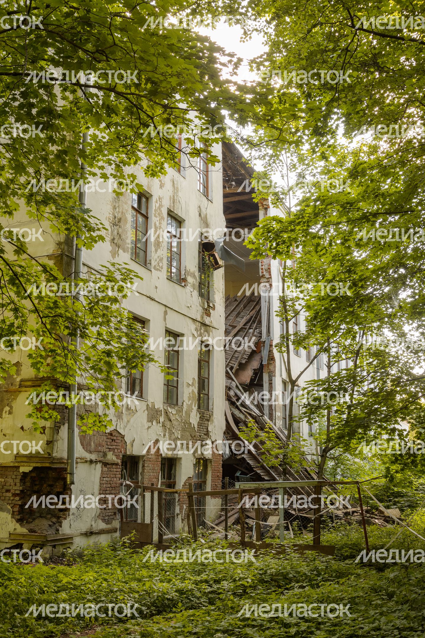 Усадьба Пехра-Яковлевское