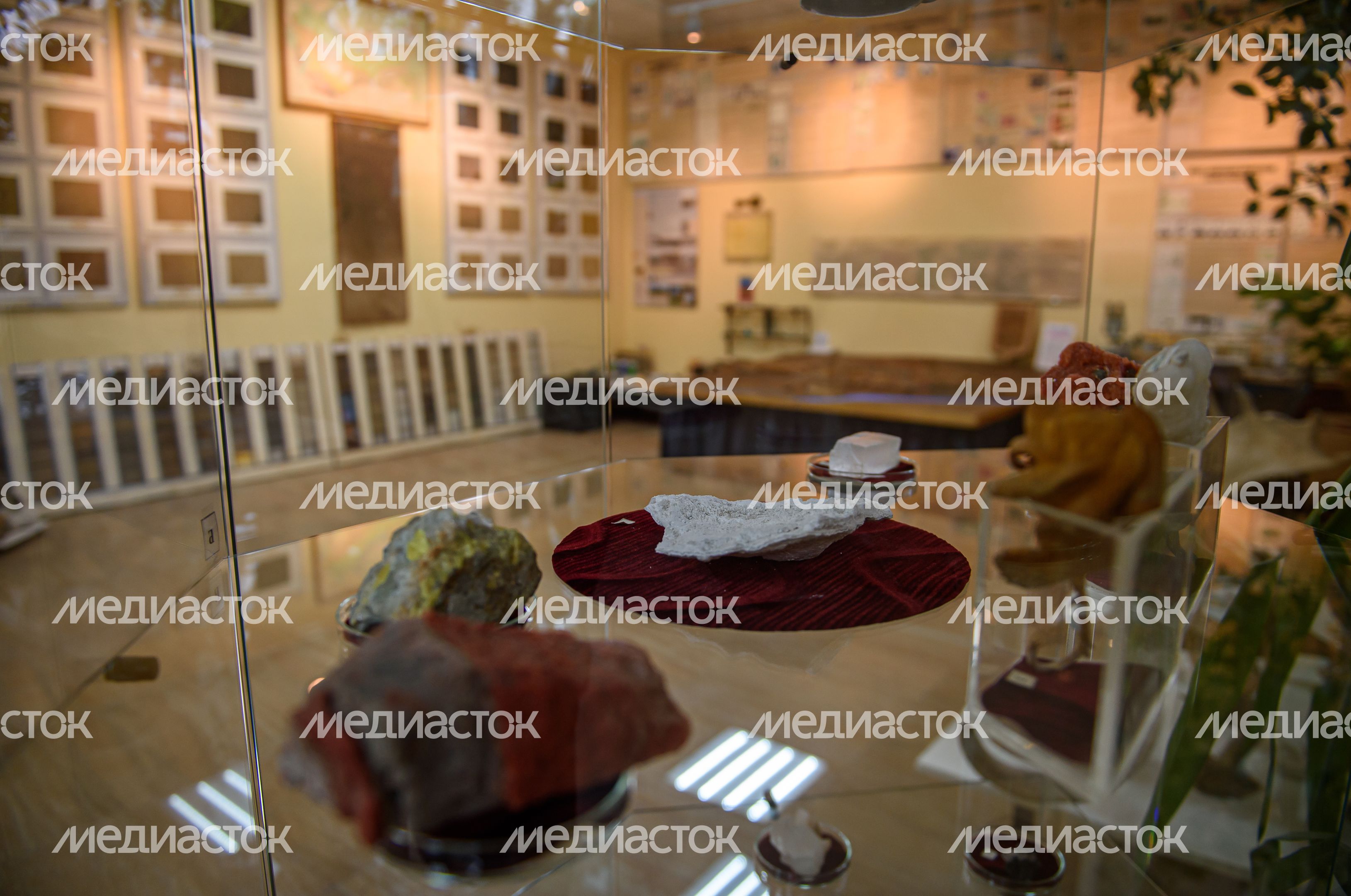 Пущинский музей экологии и краеведения