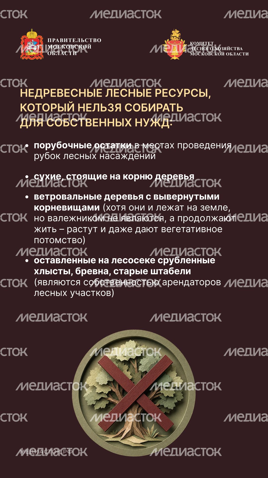 Валежник для собственных нужд вертикаль 05 Валежник для собственных нужд вертикаль 05