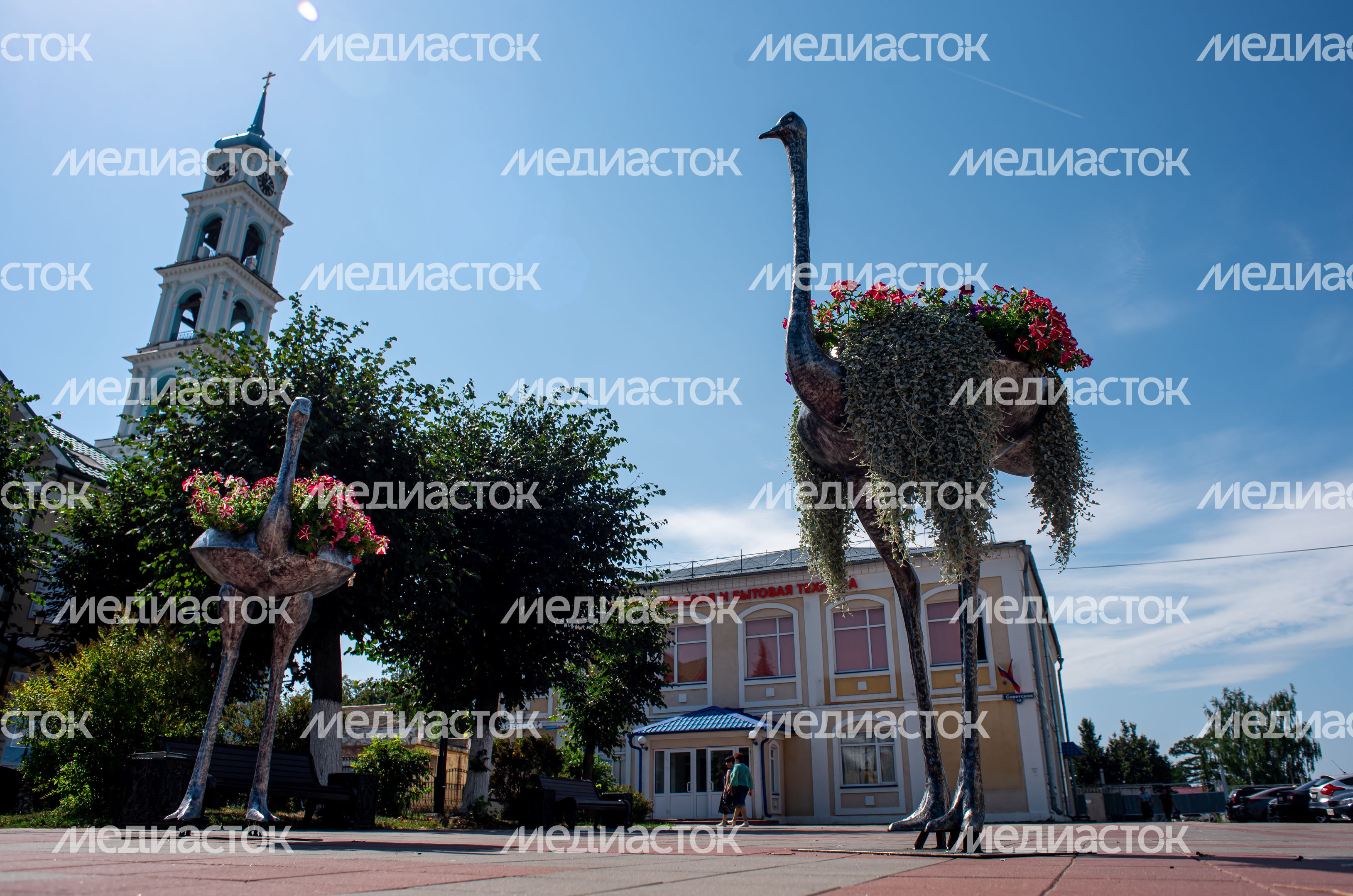Летние виды города Кашира