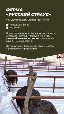 Фермы с животными