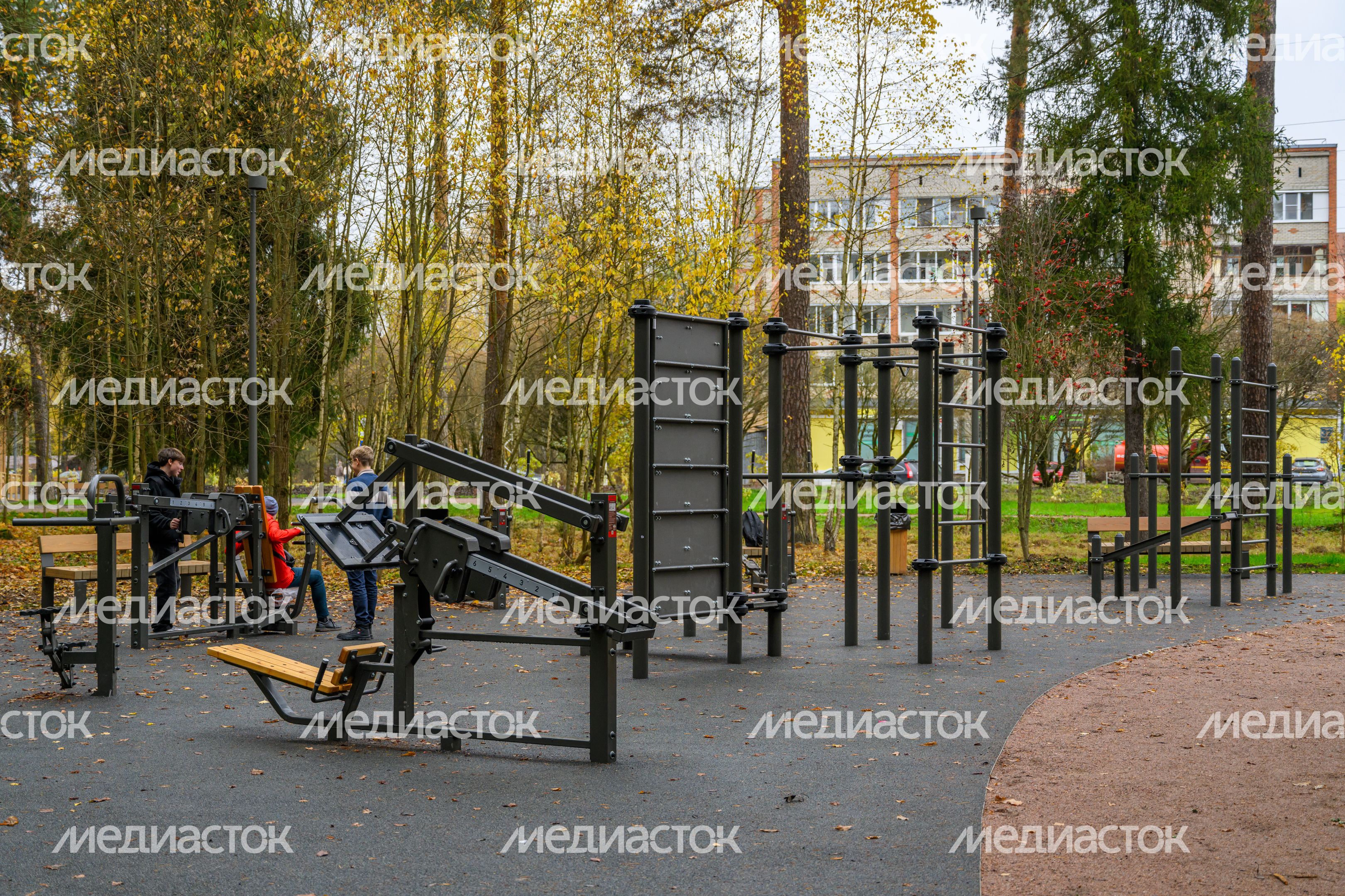 Спортивная площадка в лесопарке «Банный лес» в Красноармейске осенью Спортивная площадка в лесопарке «Банный лес» в Красноармейске осенью