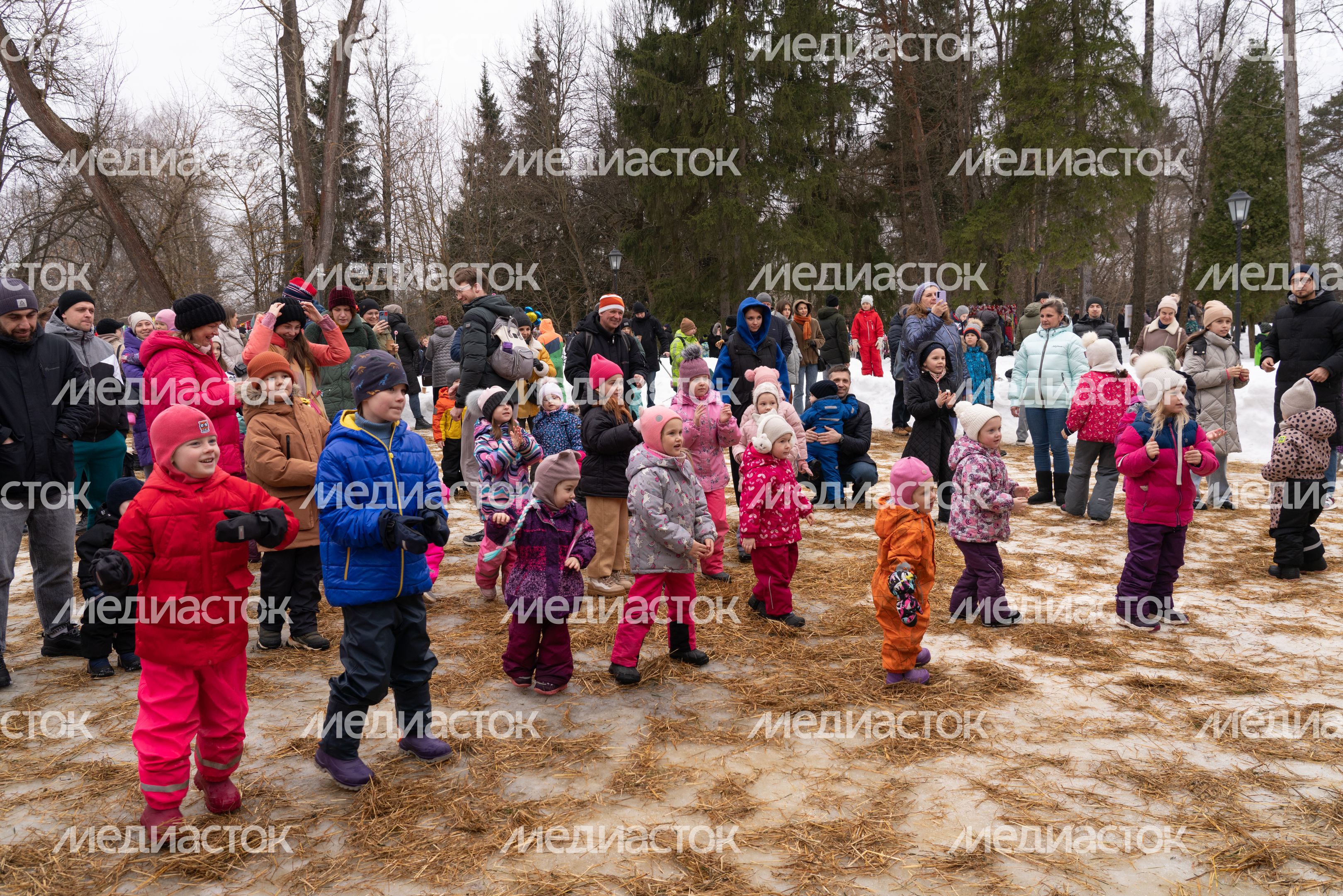 Масленица в парке "Захарово". Одинцовский округ