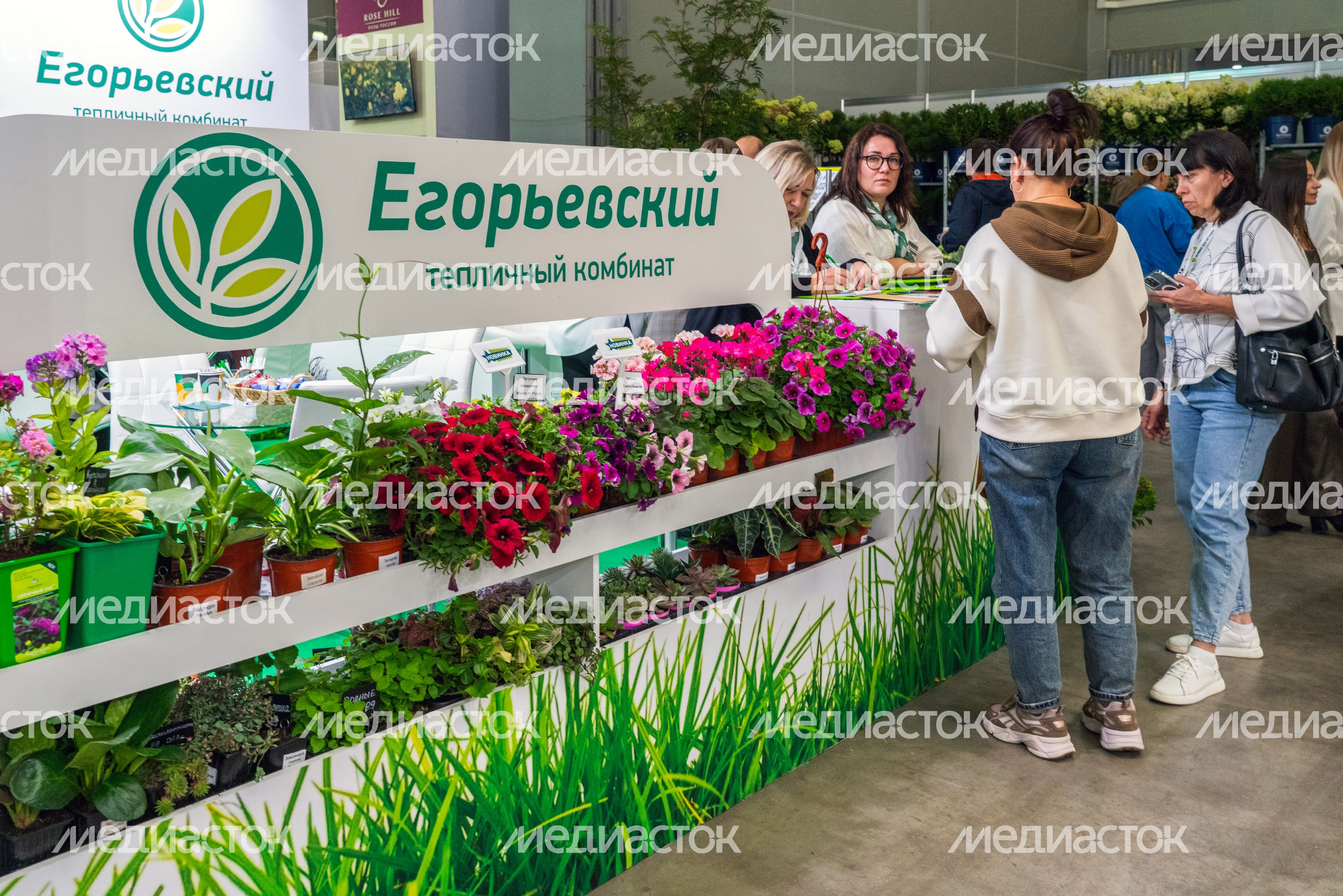 Выставочный стенд с растениями Егорьевского тепличного комбината на Международной выставке «ЦветыЭкспо» в Красногорске Выставочный стенд с растениями Егорьевского тепличного комбината на Международной выставке «ЦветыЭкспо» в Красногорске