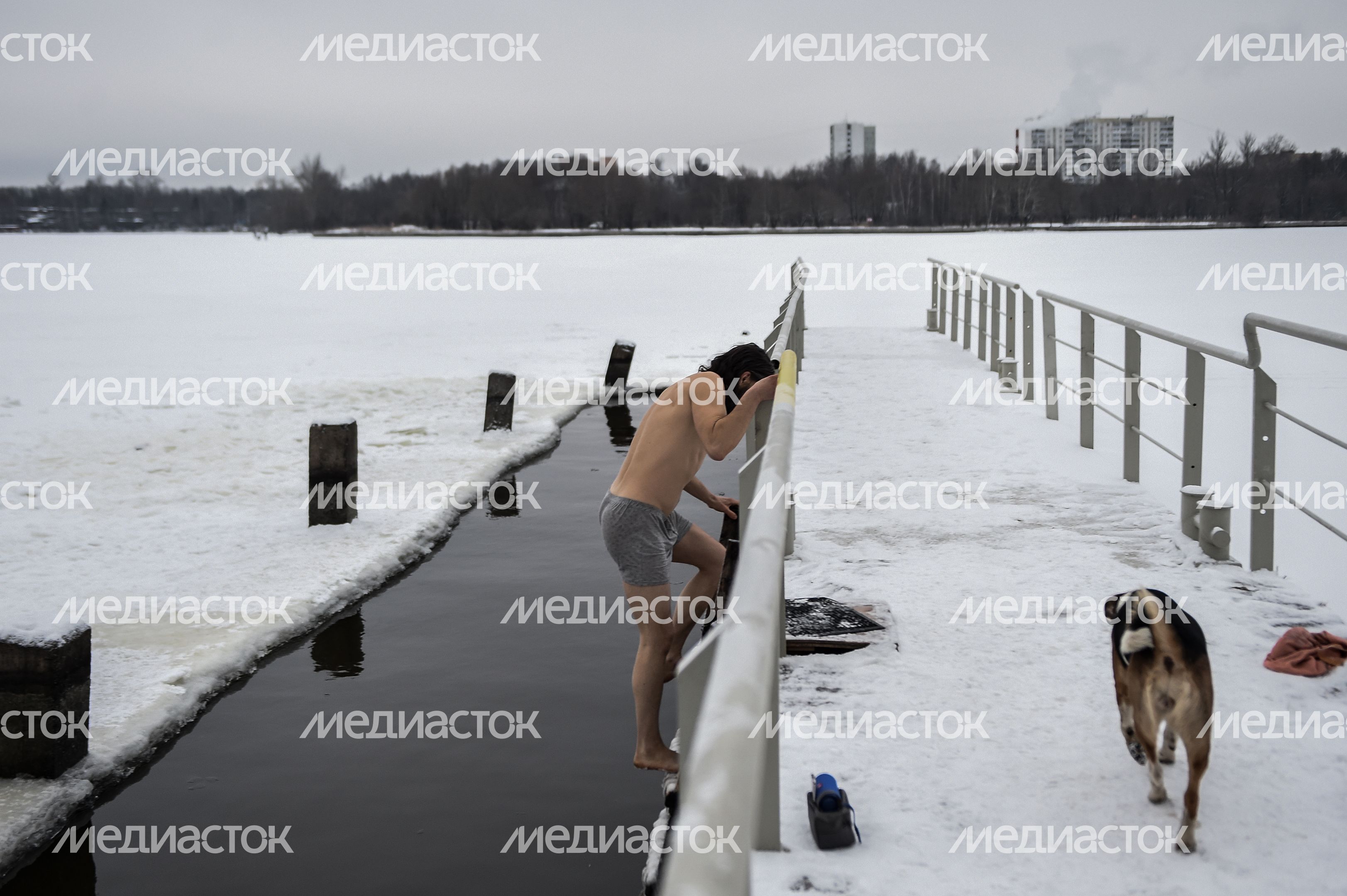 Купание моржей в Долгопрудном