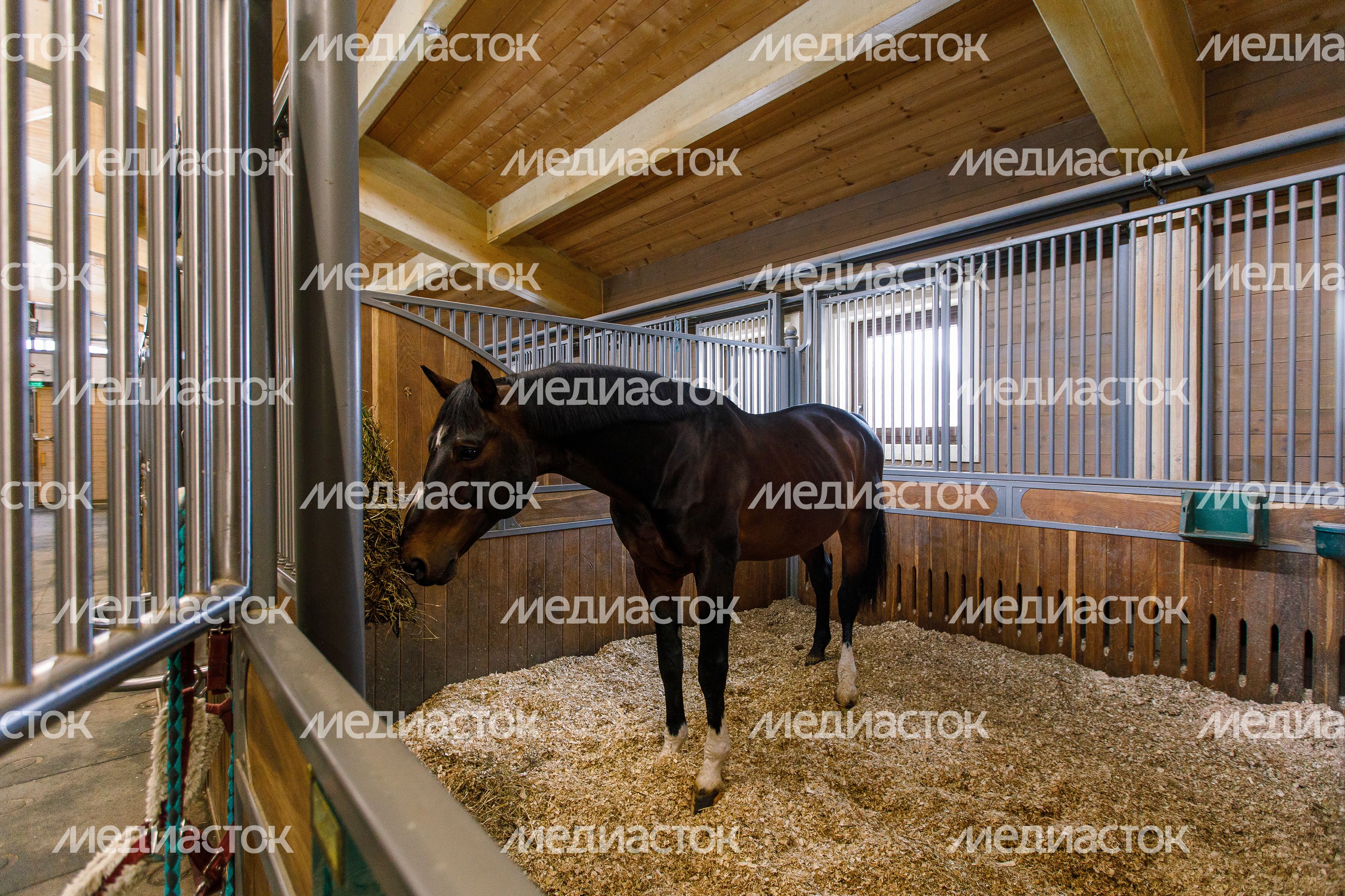 Конноспортивный комплекс Emerald Stables в Клину