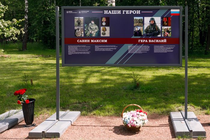 Фрязинский лесопарк летом