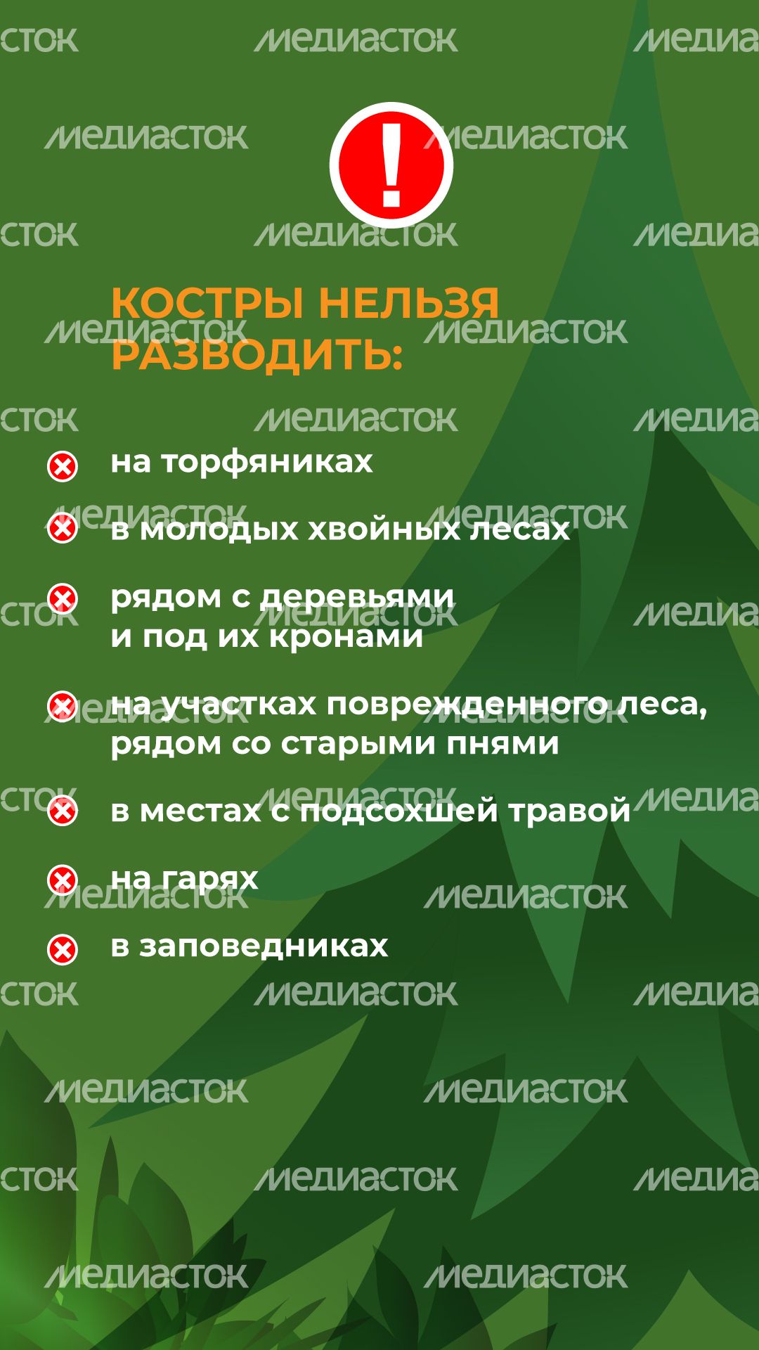 комлесхоз_костер_верт_4.jpg