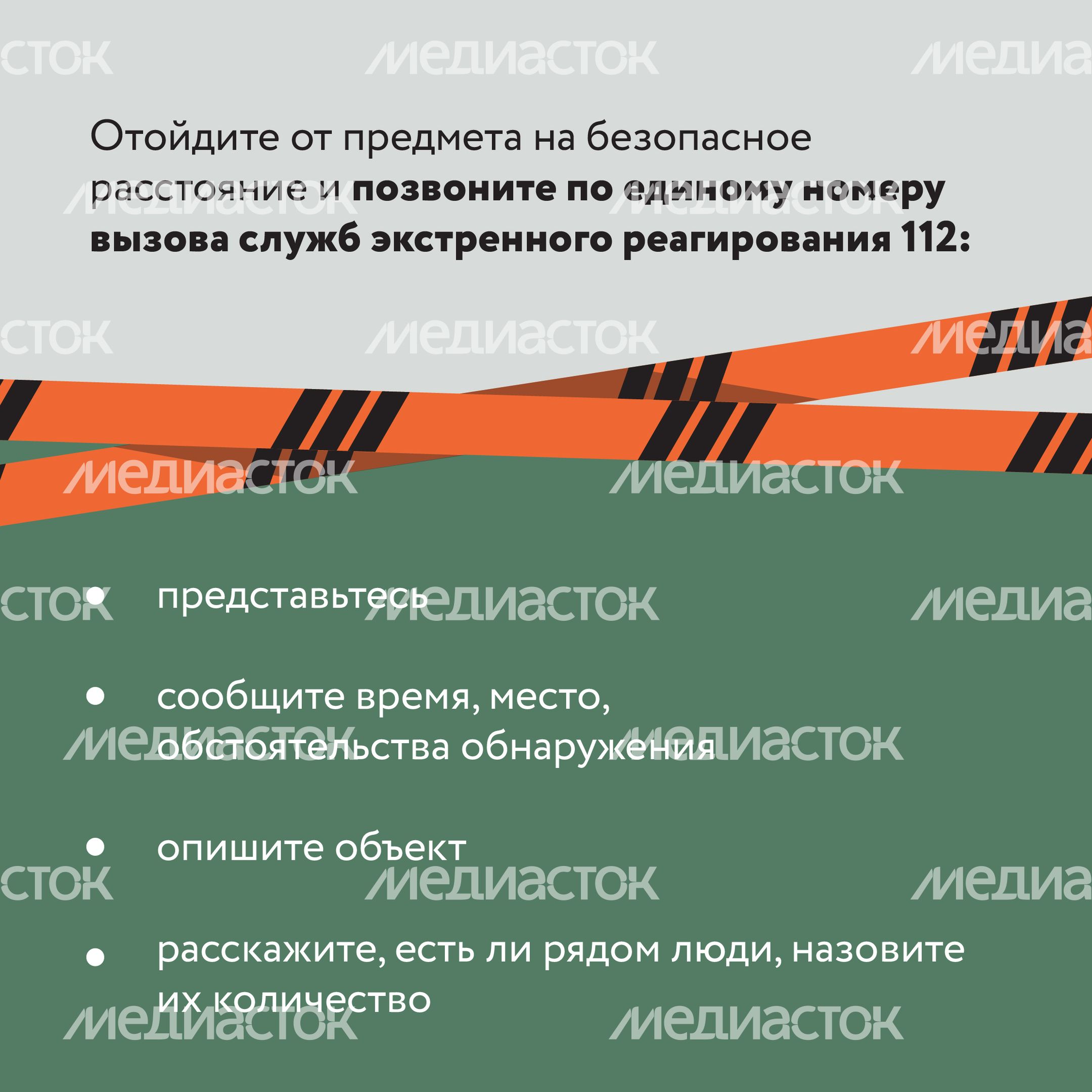 Подозрительный предмет в лесу-14