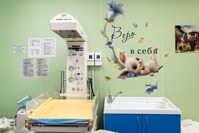 Коломенский перинатальный центр в Подмосковье