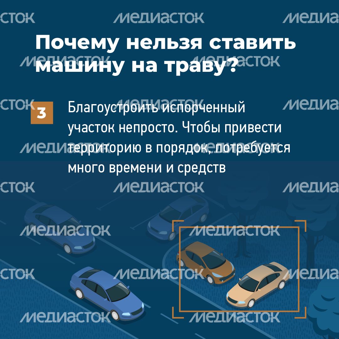 квадраты не паркуйтесь на газоне 04.png