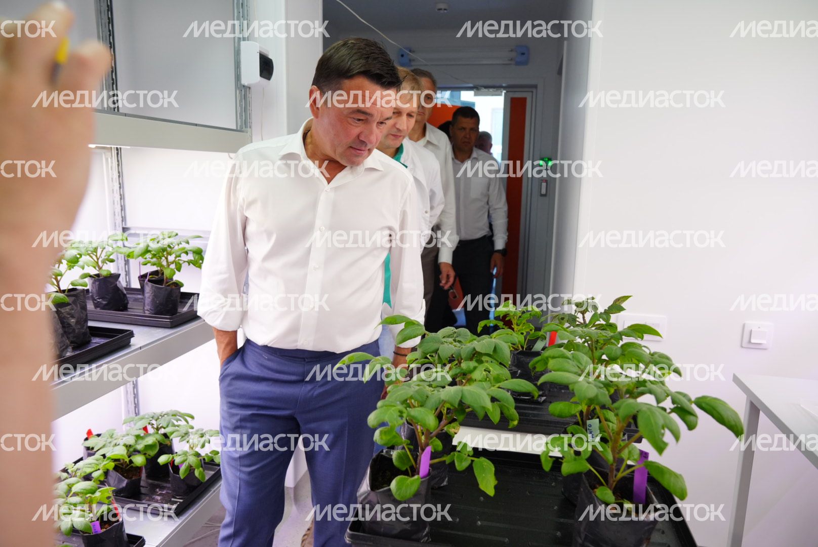 Посещение Губернатором Подмосковья селекционно-семеноводческого предприятия ООО «Дока-Генные Технологии» в Дмитровском городском округе