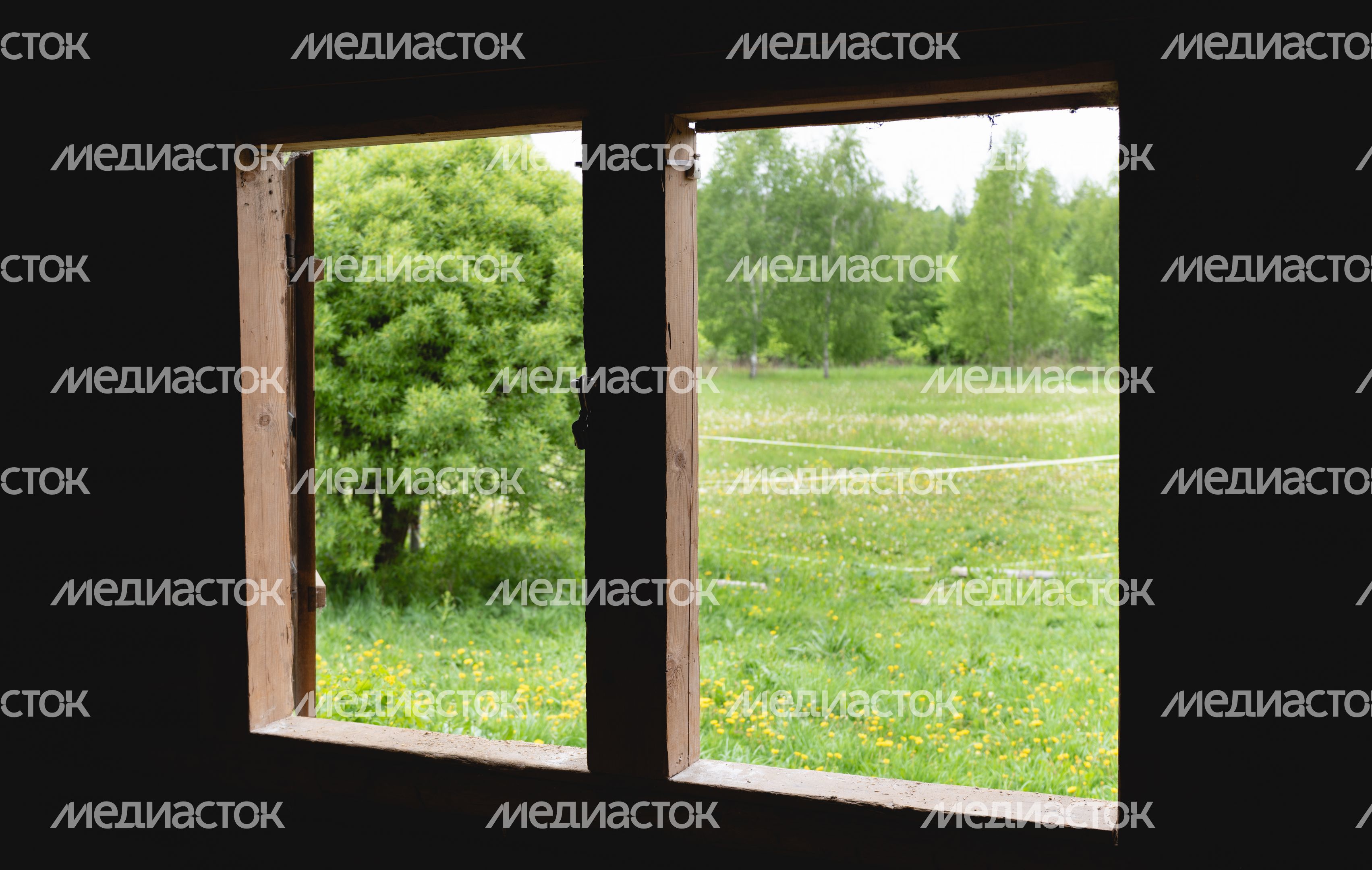 Мельница в Истре