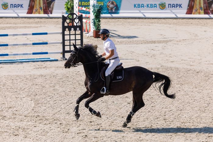 Всадник на Евразийских играх по конкуру в конноспортивном комплексе «Максима парк» в Дмитровском округе