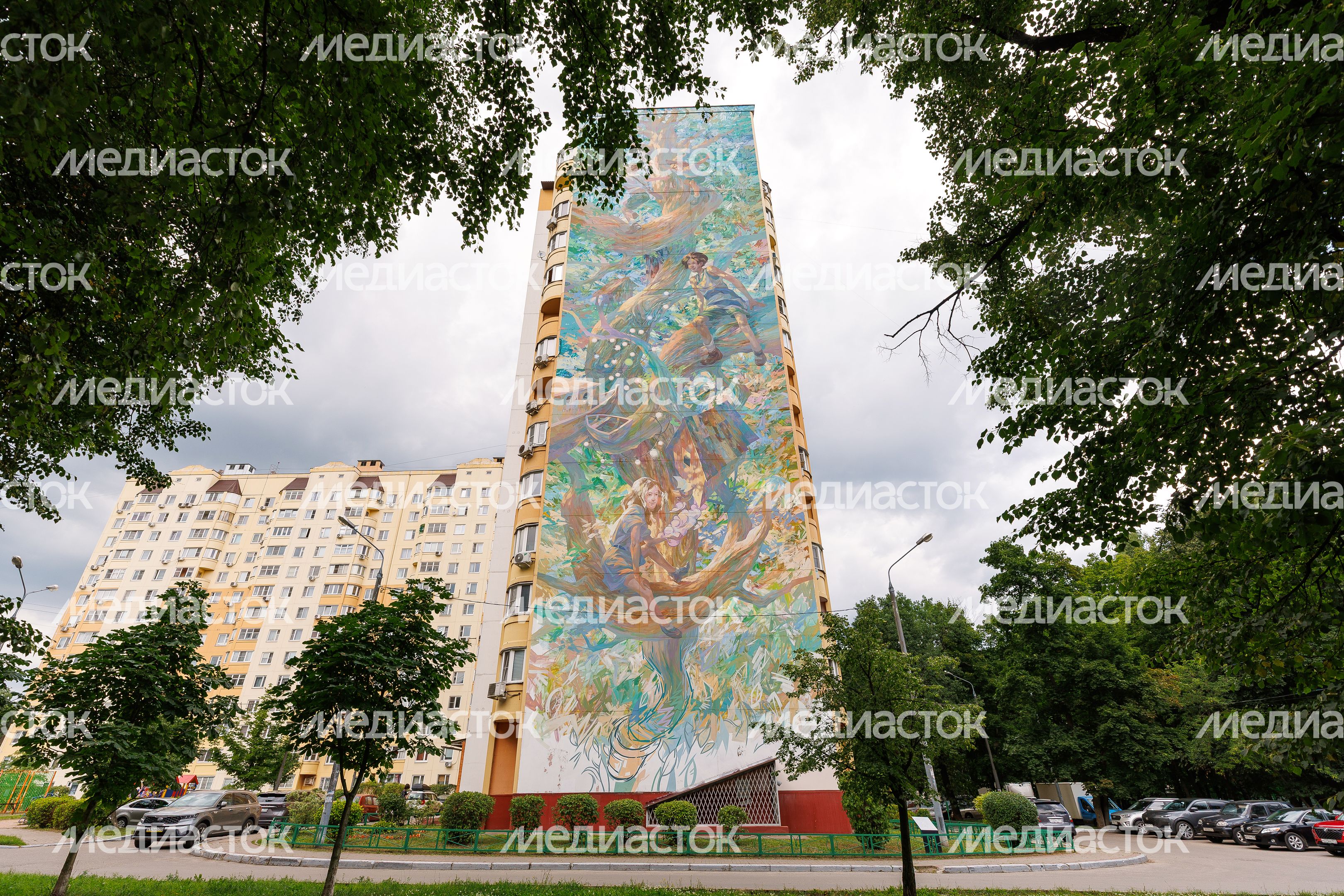 Муралы в Железнодорожном, Балашиха