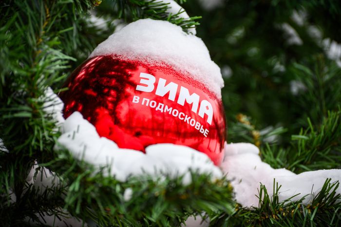 Игрушки на елке в Раменском городском парке в новогодние праздники