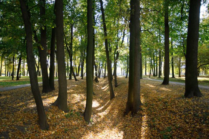 Воскресенск. Парк усадьбы Кривякино