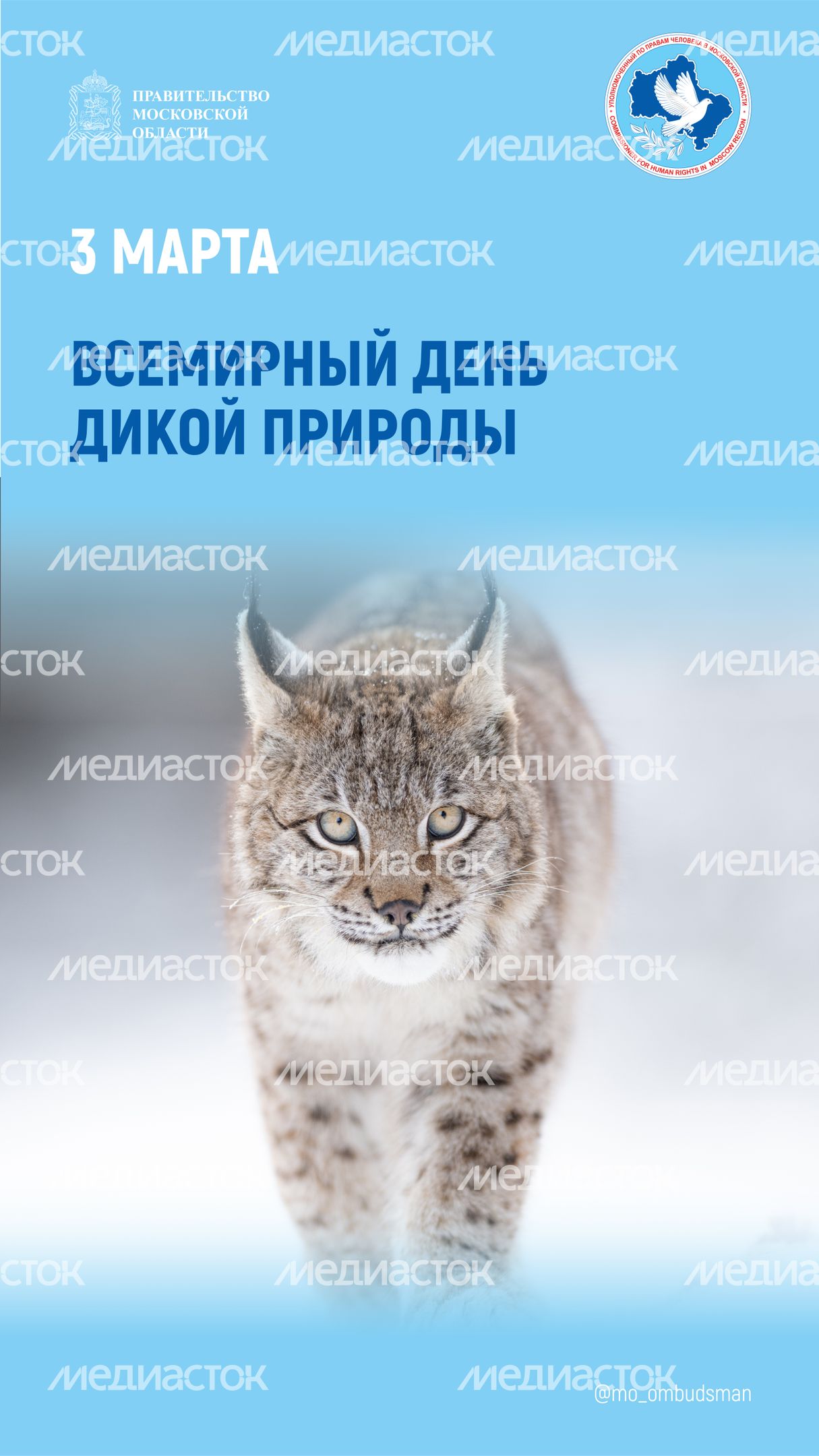 открытка-3 марта-вертикаль-01