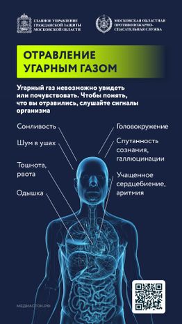 Угарный газ вертикаль 09